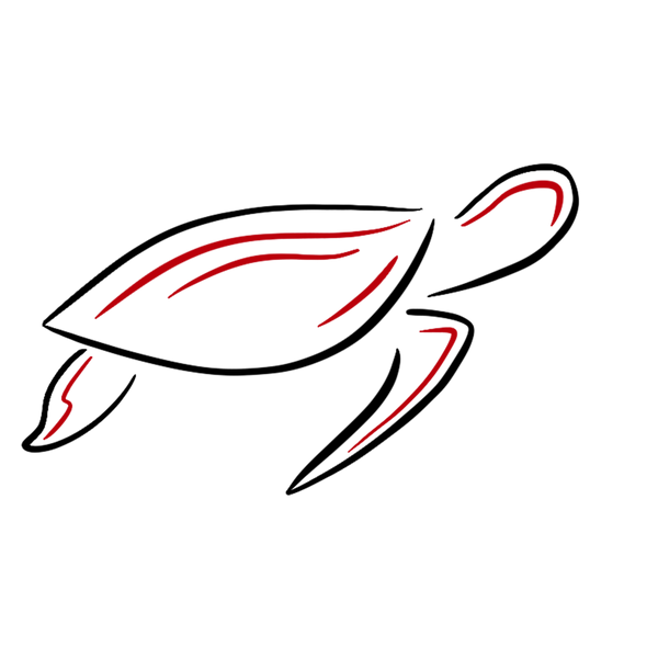 theinternationaltrini